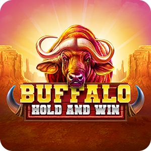 BUFFALO HOLD AND WIN