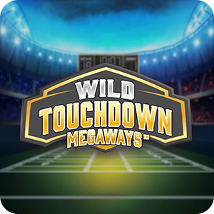 WILD TOUCHDOWN
